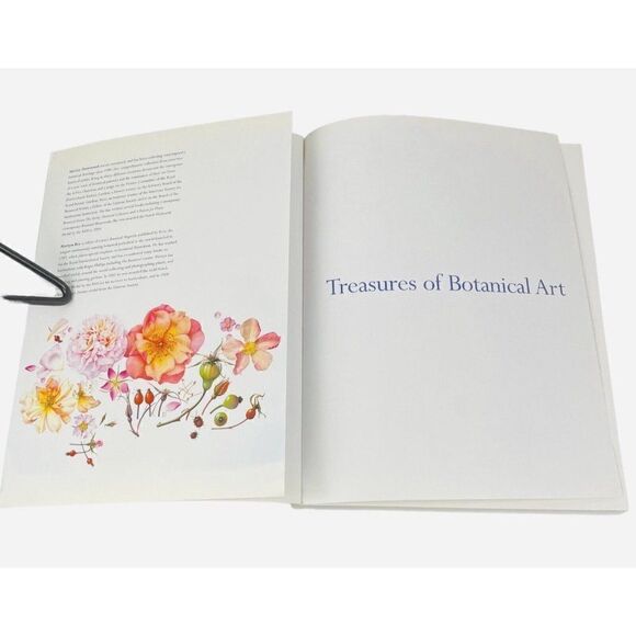 2008 Treasures of Botanical Art by Shirley Sherwood & Martyn Rix Artists Kew PB - Picture 9 of 13